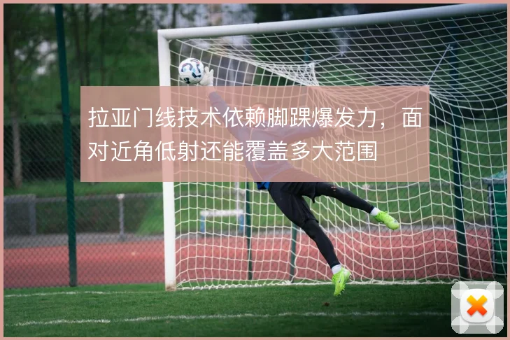 拉亚门线技术依赖脚踝爆发力,面对近角低射还能覆盖多大范围