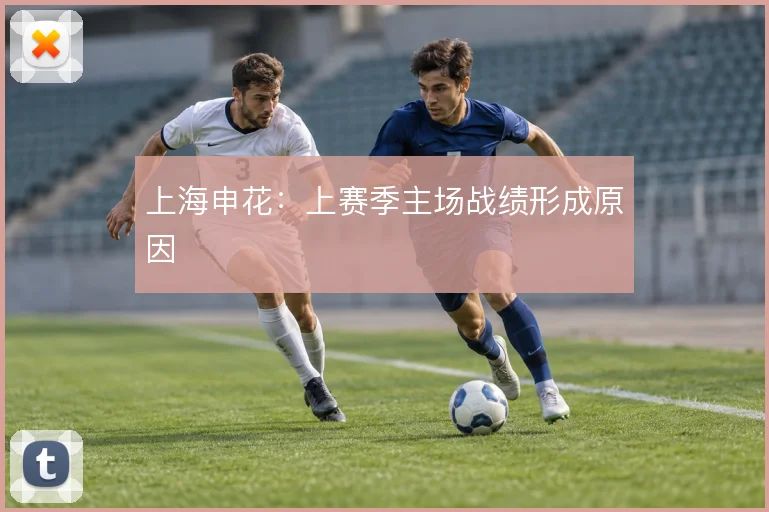 上海申花：上赛季主场战绩形成原因