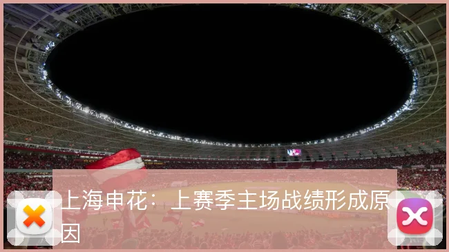 上海申花：上赛季主场战绩形成原因